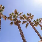 بيت للعطل Amazing In